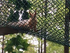 -黄海国家森林公园