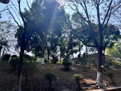 -三水森林公园