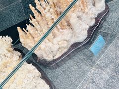 -房山世界地质公园博物馆
