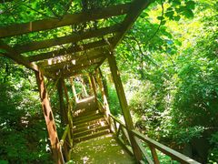 -大岭沟猕猴桃谷风景区