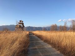 -野鸭湖国家湿地公园