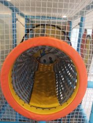 -玩童会芝麻街奇趣乐园(世博源店)