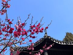 -无锡梅园公园