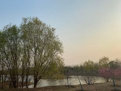 -东郊湿地公园