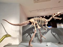 -自贡恐龙博物馆