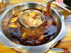 -金鼎雪山牦牛杂火锅(理县总店)