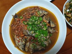 -全乐鱼馆·淳牌有机鱼直营店