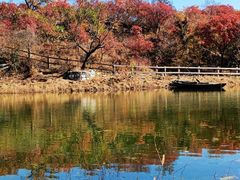 -周口店坡峰岭风景区