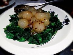 黎麦白玉豆苗-三利音·东方司宴(外滩店)