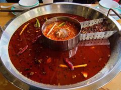 鱼火锅-味当家鱼头火锅.•甲鱼料理(金沙店)