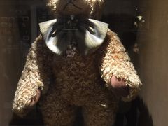 -济州岛泰迪熊博物馆