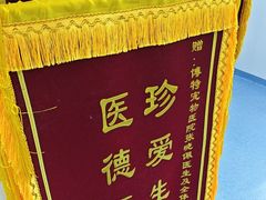 -博特宠物医院24h犬猫全科.骨科·异宠
