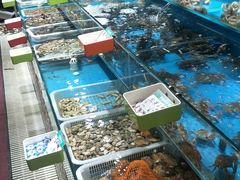 水产区-港畔赶海蒸汽海鲜烧烤自助(仙螺岛店)