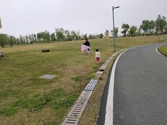 -官亭林海