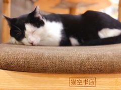 -猫的天空之城概念书店(杭州南宋御街店)