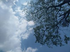 -四川大学(华西校区)