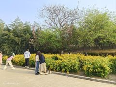 -西安青龙寺遗址景区