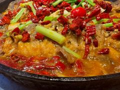 -老板恋上鱼(印象城店)