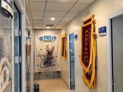 -瑞派·关忠动物医院(国瑞店)