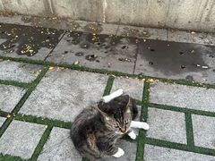 -UNIUNI(凯瑟琳广场店)