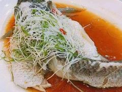 -红樱桃月嫂育婴师(徐汇总店)