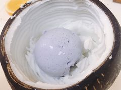 -志龙皇冠吃货椰子铺