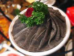 -小天鹅火锅·一线江景洪鼎旗舰店(洪崖洞店)