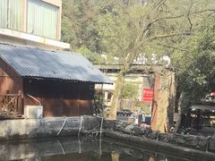 -天怡·鱼工厂(梅溪湖店)