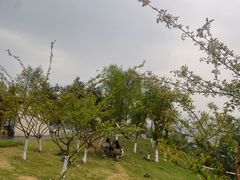 -金海湾滨江公园