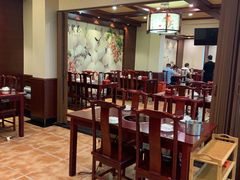 -火焰金龟甲(汉阳江滩旗舰店)