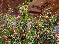 -八府香鸭·啫啫煲(华山路店)