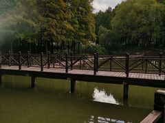 -尚贤河湿地