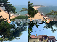 -八大关景区