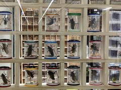 -三旗百汇商品城