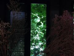 -斯多格书乡(北京大学畅春园店)