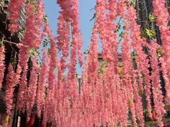 -曼哈顿商业广场(升龙广场店)