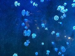 -欢乐海岸海洋奇梦馆