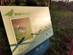 -福田红树林生态公园