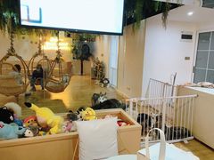 -Husky Go! 哈士奇体验馆·宠物咖啡厅狗咖