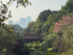 -云溪植物园