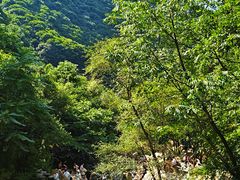 -少华山国家森林公园