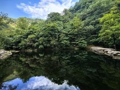 -宝荣鱼馆·临湖之宴(千岛湖店)