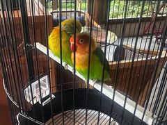 -广富林宰相府酒店·水云间