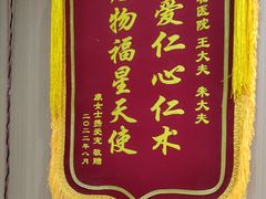 -米苏动物医院·犬猫专科·骨科外科内窥镜
