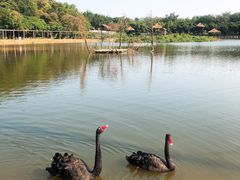 -李小龙乐园(顺德均安店)