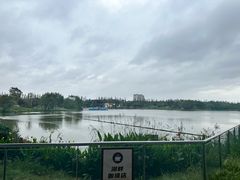 -上海长兴岛郊野公园