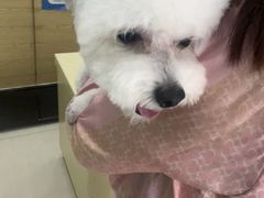 -天宠宠物医院24小时·急重症诊疗中心·全科·腔镜特色(和平分院)
