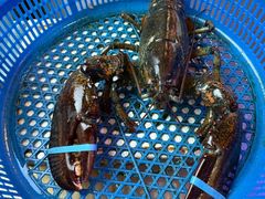 -渔民船说·北塘海鲜·天津菜·海肠捞饭(北塘古镇店)
