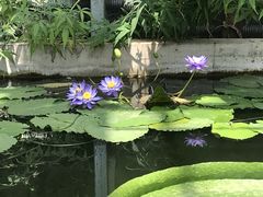 -国家植物园南园