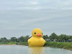 -深圳人才公园